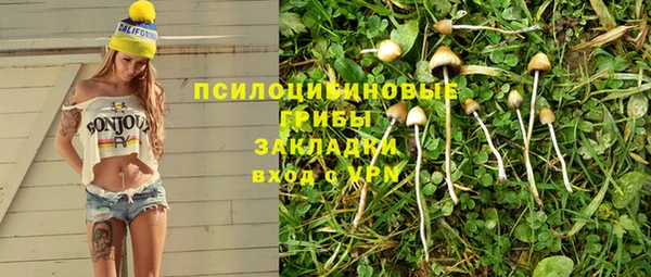 не бодяженный Дмитриев