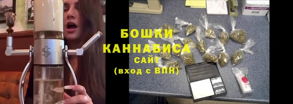 не бодяженный Дмитриев