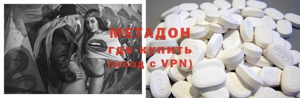 прущие грибы Гусев