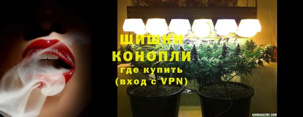 прущие грибы Гусев